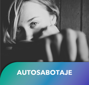 PAGINA WEB TMP ICONOS-20